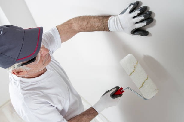 Best Drywall Removal and Disposal  in Hughes Springs, TX